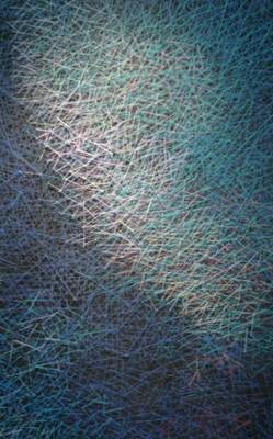 中美藝術(shù)家云端聯(lián)動(dòng) 新型材料演繹纖維藝術(shù)新維度